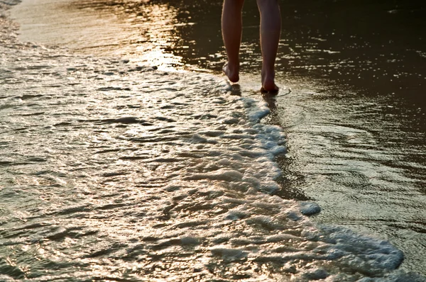Alimentación del caminante en el agua en la playa en contraluz —  Fotos de Stock