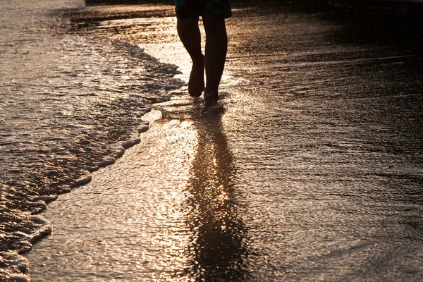 Ζωοτροφών περπάτημα άνθρωπος στο νερό στην παραλία οπίσθιου φωτισμού — Φωτογραφία Αρχείου