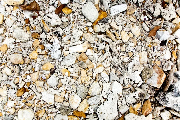 Stones at the beach — Stock Photo, Image
