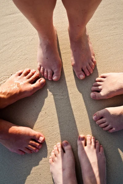 Fötter av en familj i fin sand av den ilandflutna, grupperade i en c — Stockfoto