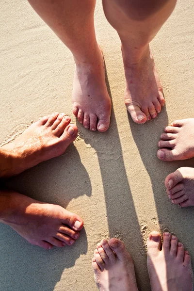 Ноги сім'ї у дрібному піску на пляжі, згруповані в c — стокове фото