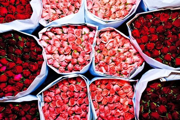Rosor som erbjuds på blomstermarknaden tidigt på morgonen — Stockfoto