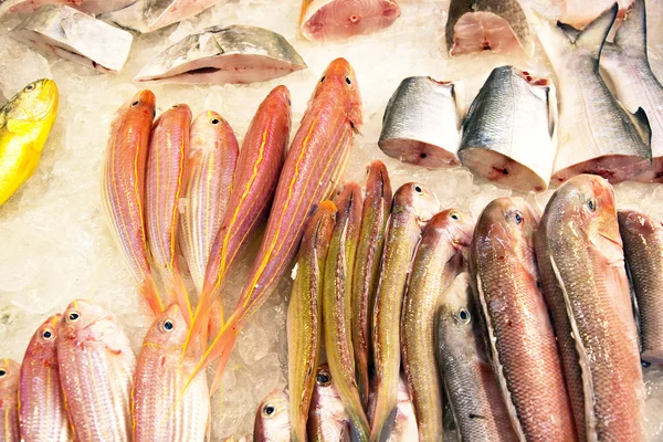 Ganze frische Fische werden auf dem Fischmarkt in Asien angeboten — Stockfoto
