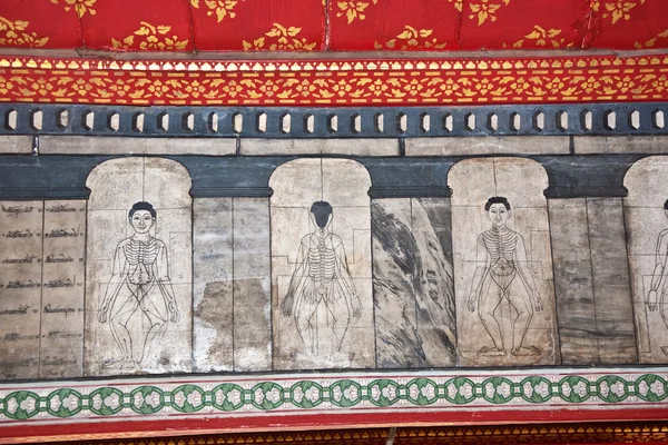 Schilderijen in de tempel wat pho leren acupunctuur en Verre Oosten medici — Stockfoto