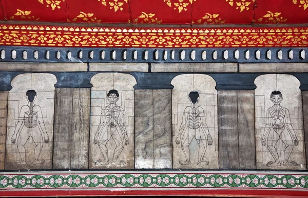 Obrazy w świątyni wat pho nauczania akupunktury i fareast medici — Zdjęcie stockowe