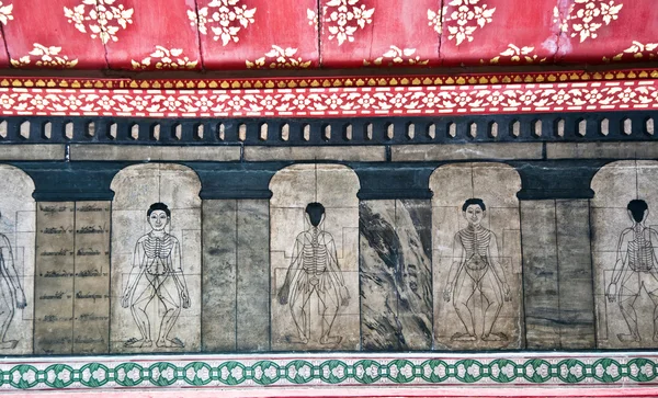 Paintings in temple Wat Pho teach Acupuncture and fareast medici — Stock Photo, Image