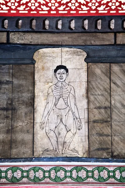 Картины в храме Ват Пхо учат иглоукалыванию и фараонным лекарствам — стоковое фото