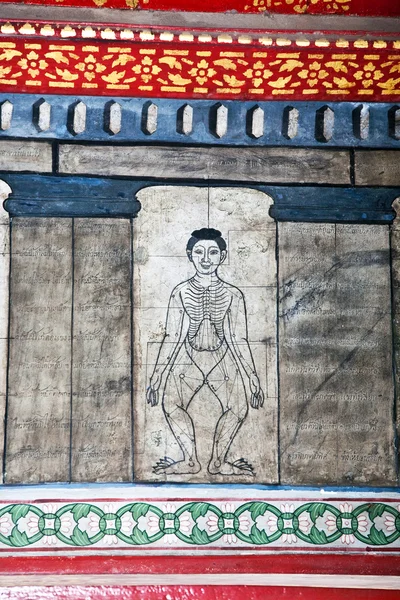 Pinturas en el templo Wat Pho enseñar Acupuntura y medici más al este —  Fotos de Stock