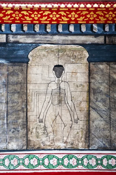 Картины в храме Ват Пхо учат иглоукалыванию и фараонным лекарствам — стоковое фото