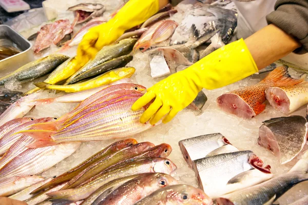 Peixes frescos inteiros são oferecidos no mercado de peixe na Ásia — Fotografia de Stock
