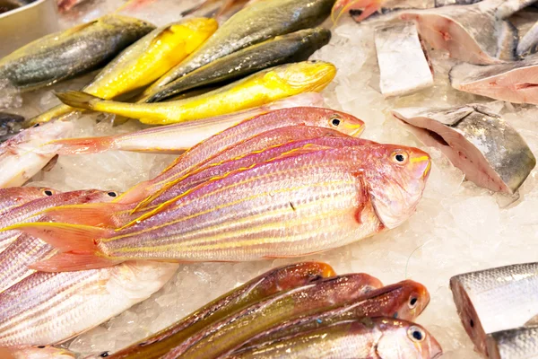 Whole fresh fishes are offered in the fish market in asia — Stock Photo, Image