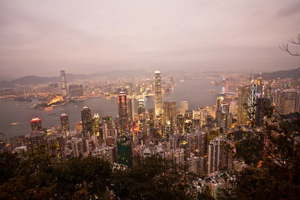 빅토리아 피크에서 홍콩 보기 — 스톡 사진