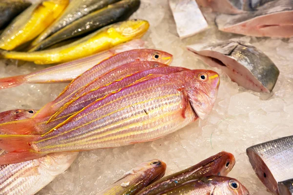 Całe, świeże ryby są oferowane na rynku ryb w Azji — Zdjęcie stockowe