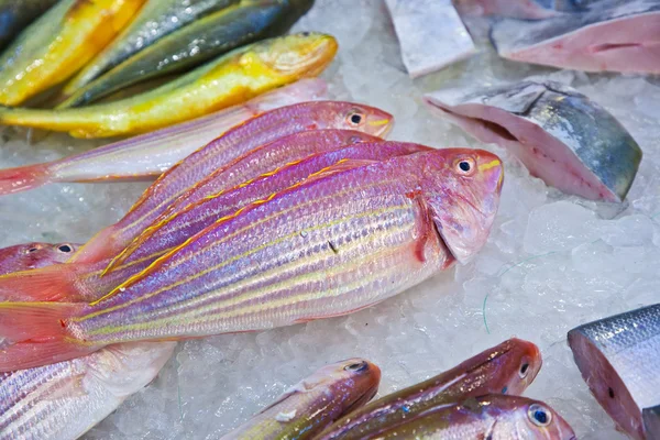 Całe, świeże ryby są oferowane na rynku ryb w Azji — Zdjęcie stockowe