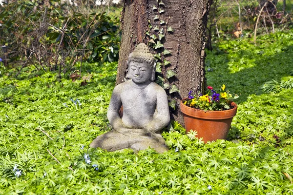 Stone buddha in front of a cherry tree — Stock Photo, Image