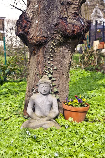 Kamień Buddy przed wiśniowe drzewo — Zdjęcie stockowe