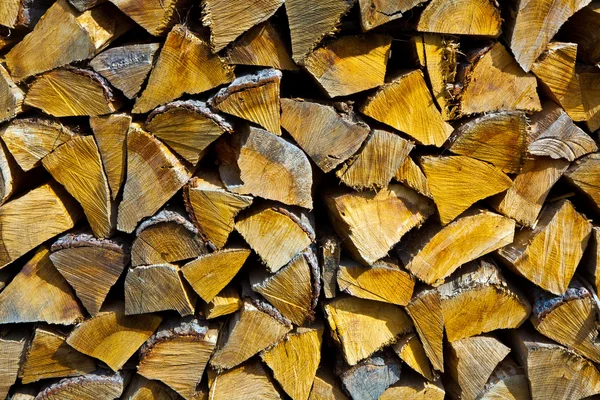 Firewood agrafado no jardim — Fotografia de Stock