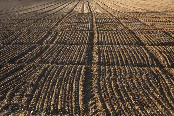 美しい光の中で新鮮な耕したエーカー — ストック写真