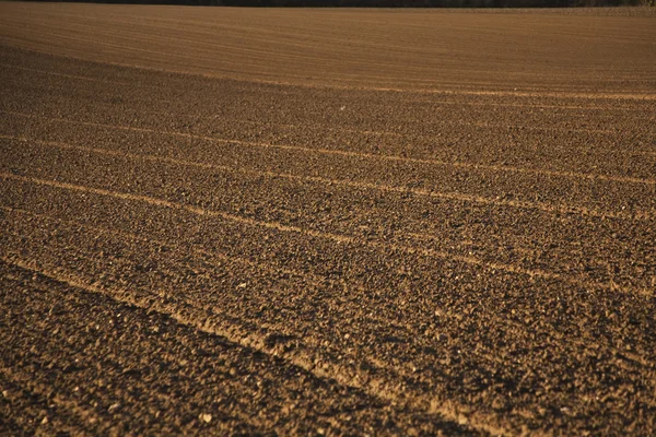 Freshly plowed field in beautiful light — Stock Photo, Image