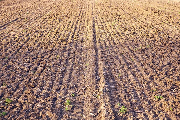 Background of newly plowed field — Stock Photo, Image