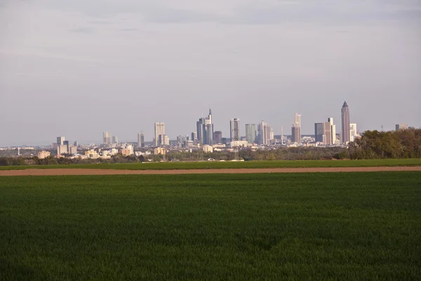 Zobacz ponad hektarowej na panoramę Frankfurtu — Zdjęcie stockowe