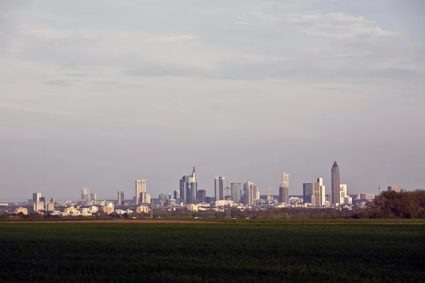 Blick über den Acker zur Skyline von Frankfurt — Stockfoto