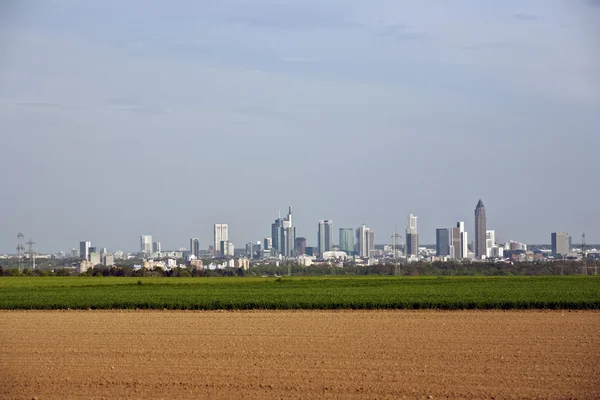 Pohled přes akr na panorama Frankfurtu — Stock fotografie