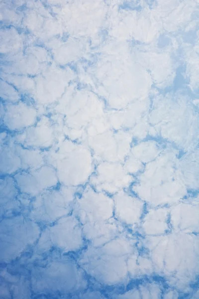 Sky with harmonic cloud structure — Stock Photo, Image