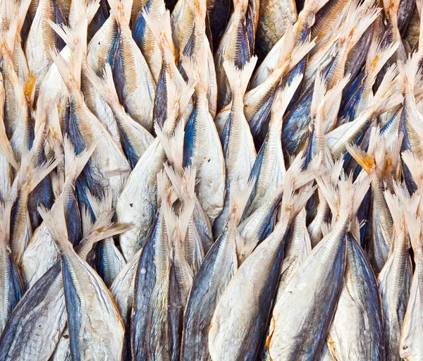 市場で干し魚 — ストック写真