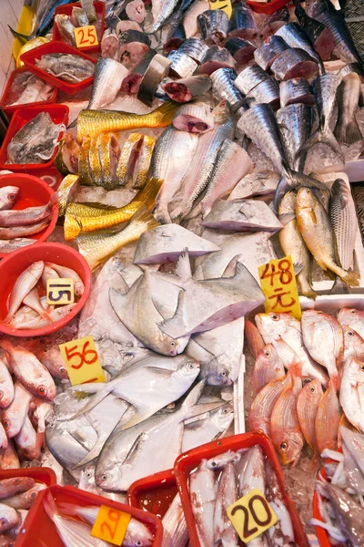 Čerstvé ryby na trhu — Stock fotografie