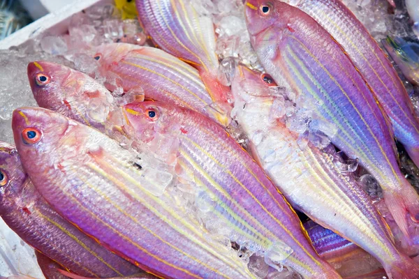 Свежая рыба охлажденная на льду на рынке — стоковое фото