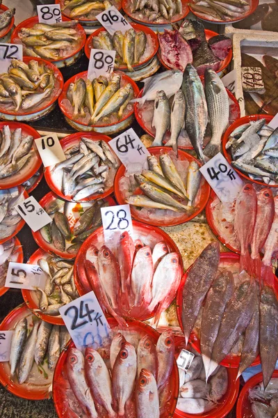Färsk fisk på marknaden — Stockfoto