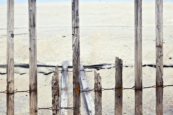 Fence for protection of the dunes at the beautiful natural beach — Stock Photo, Image