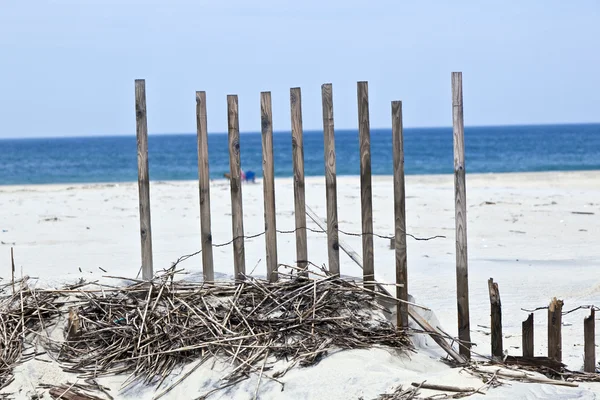 Περίφραξη για προστασία των αμμόλοφων στην όμορφη παραλία φυσικό — Φωτογραφία Αρχείου