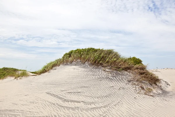 모래 해변에 잔디와 모래 언덕 — 스톡 사진