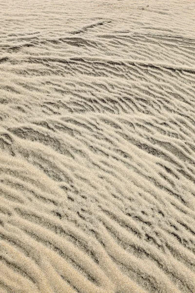 Vítr formy struktury v dunách na pláži — Stock fotografie