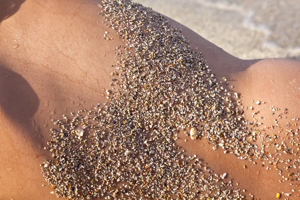 stock image Back of boy with sand and shells at the beach