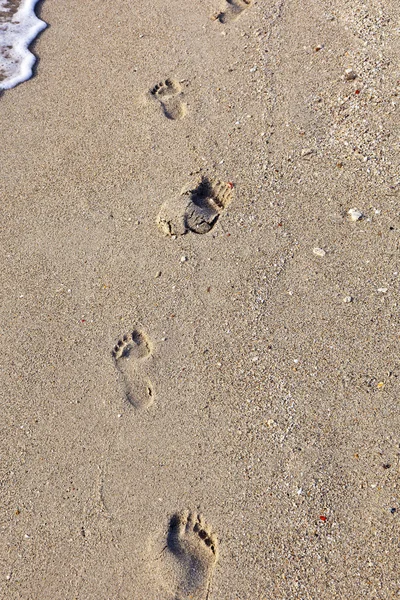 Empreintes de pas à la plage — Photo