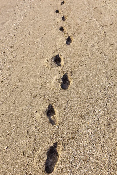 Stopy na pláži — Stock fotografie