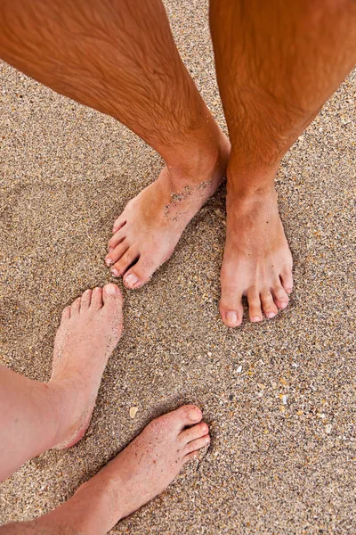饲料的情侣在沙滩上 — 图库照片