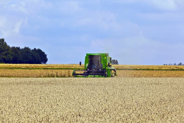 Kombajn w pola kukurydzy — Zdjęcie stockowe