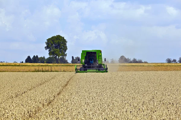 Colheitadeira em campos de milho — Fotografia de Stock