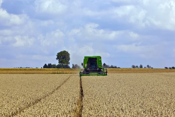 Erntemaschine auf Maisfeldern — Stockfoto