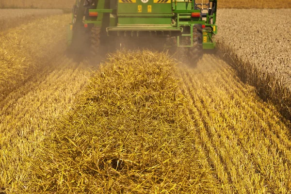 Harvester in corn fields — Stock Photo, Image