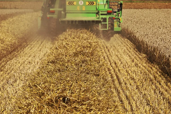 Cosechadora en campos de maíz — Foto de Stock