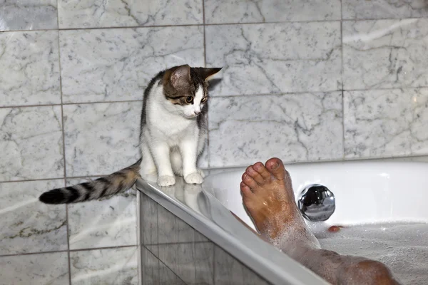 Feet of man bathing and cat strolling around the bath tube — Stock Photo, Image