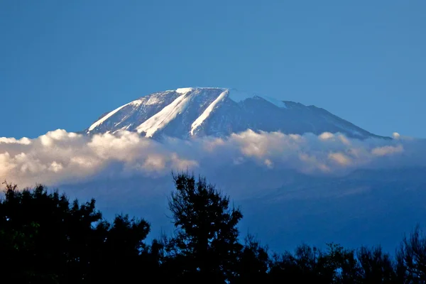 Kilimandscharo mit Schnee bedeckt — Stockfoto