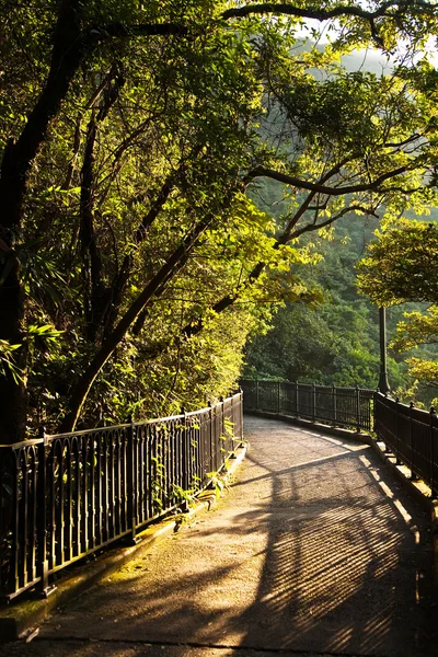 stock image Romantic peak way in Hong Kong, Victoria