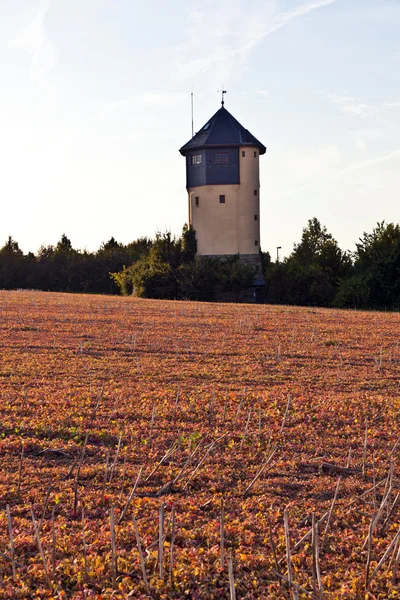 Torre de agua con campos al atardecer — Foto de Stock
