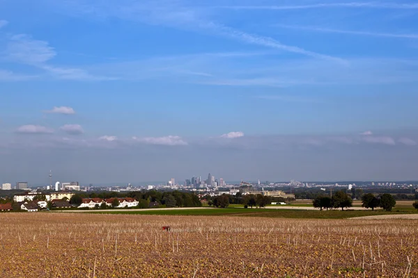 Met het oog op de skyline van frankfurt over kleurrijke velden — Stockfoto